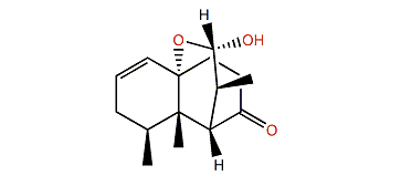 Flavalin B